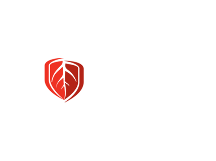 Our Range - Stoney Creek